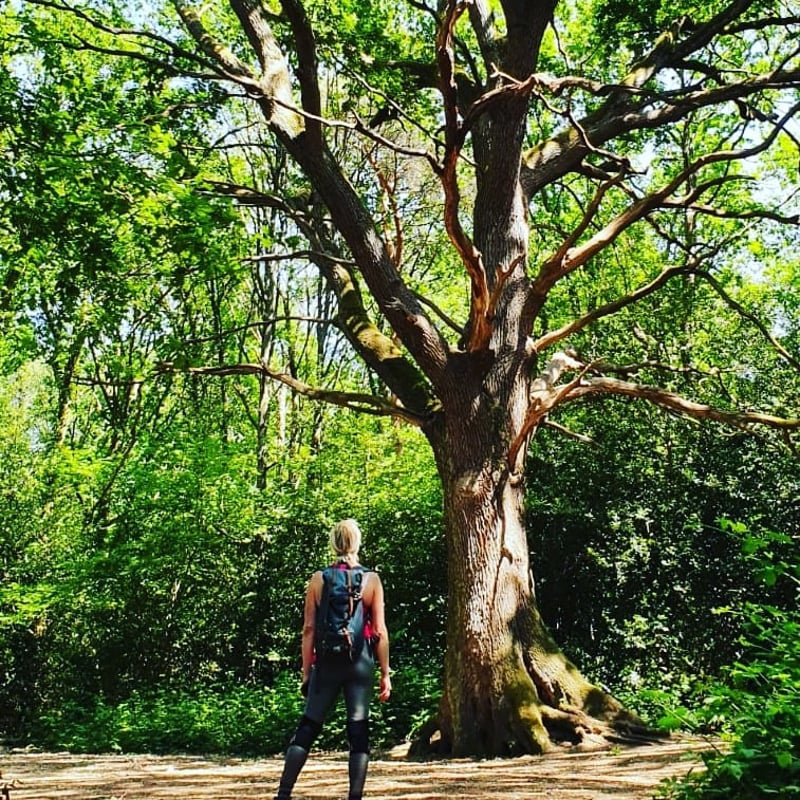 Jenn Holgate hiking in the Surrey hills